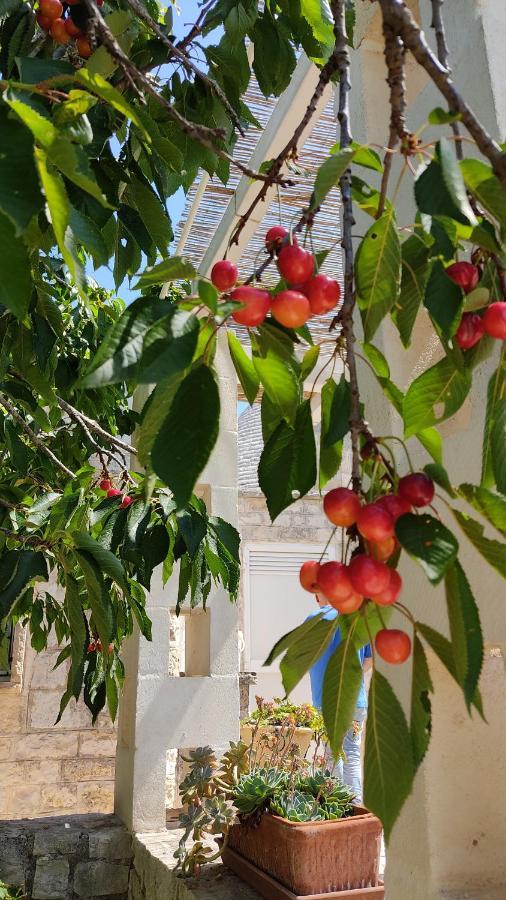 Pensjonat Trulli Di Zia Tata Locorotondo Zewnętrze zdjęcie